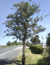 Changes to Main Gate at Menwith Hill